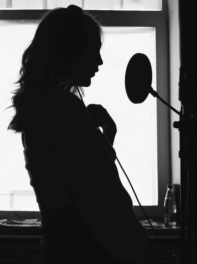 Nordlyd Voice Studio 14