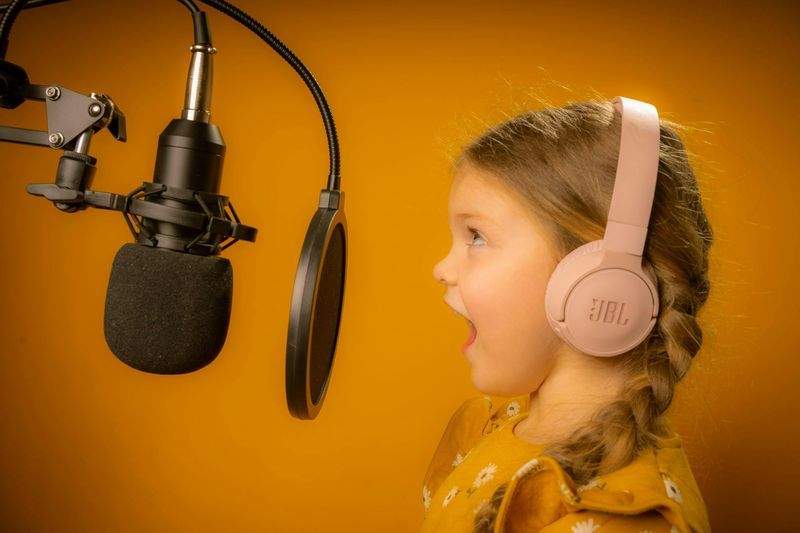 Nordlyd Voice Studio 6